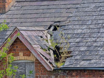 Professional basement flood restoration services services in Palm Bay - water damage restoration service